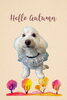 「Dog salon mofu mofu　余市町」