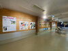 展示風景①「干支展「ウシの魅力をギュウギュウ詰め！」」