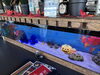 ハロウィン装飾「水槽もHappy Halloween/アクアリウムのレンタルはアクアデザインブルース/」