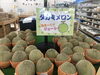 タカミメロン「マルシェのおすすめフルーツ」