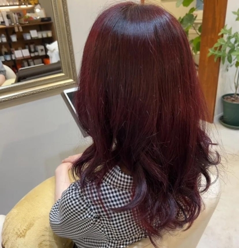 赤紫色カラー「髪質改善を求めるお客様に自信をもっておすすめするローランドオーウェイHカラーのご紹介✨」