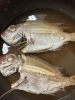 ふっくら鯛の煮付け (17文字)「1匹まるごと！毎日変わる魚ランチ」