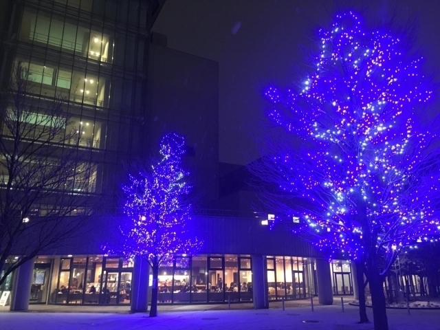 札幌のイルミネーションスポット 札幌で楽しむクリスマス まいぷれ 札幌市西区