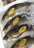 「魚魚市場鮮魚コーナーおすすめは「ゴマサバ」です♪」