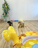 ふたり仲良くボール遊び中〜🩷「ましゅまろ幼稚園🐾パート２」