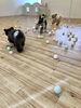 わーい(⌒▽⌒)「ましゅまろ幼稚園　(^-^)」