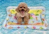 ういちゃん「波とわんこ🌊」