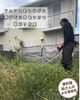 丁寧さと確実さで空き地を綺麗に「タイトル：和歌山市のお庭の草刈り・スッキリ綺麗に解決します！🌿」