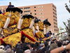 「【西条まつり2026🏮】御輿4台が集結！迫力満点の練り比べ🔥」
