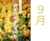 https://higashi-okayama.mypl.net/article/cityart_okayama/90210