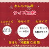 「わんちゃん用クリスマスケーキのご案内♪」