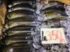 「魚魚市場鮮魚コーナーおすすめは「ヒラス・カレイ」です♪」