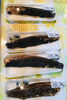 「魚魚市場鮮魚コーナーおすすめは「ヒオウギ貝」です♪」