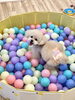 ボールがいっぱいになって嬉しくてたまらないハッピーちゃん😍「ましゅまろ幼稚園🐾」