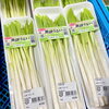 「一足早く春の味覚が入荷しました！農産物直売所」
