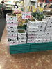 「本日鮮魚精肉祭！釧路スーパーヒロセ」