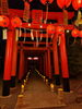 「瀬田駅すぐの神社で幻想的な提灯祭り🏮お出かけ後はふわーるでボディケア」