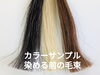カラーサンプルとして染める前の毛束「お陰様で大人気✨ヘナ✨何度も言いますが『ヘアカラー剤』ではないのです🍀」