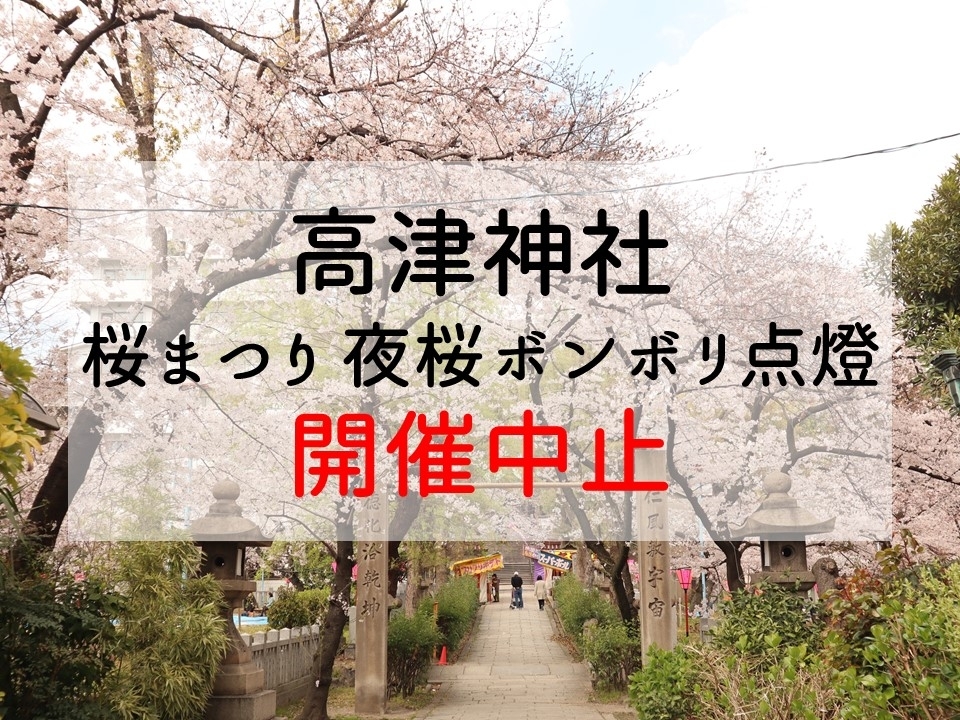 桜の名所 高津神社 浪速高津宮 が 桜まつり 夜桜ボンボリ点灯 の中止を発表 大阪 桜の開花情報 まいぷれ 大阪市中央区 桜の名所 高津神社 浪速高津宮 が 桜まつり 夜桜ボンボリ点灯 の中止を発表 大阪 桜の開花情報 まいぷれ 大阪市中央区