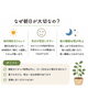 「朝の過ごし方クイズ！スマホ？朝日？どちらから始めますか？」