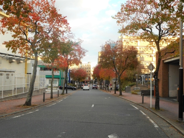 都筑区の紅葉スポットご紹介 都筑区の公園と緑道のすべて 北部編 まいぷれ 横浜市都筑区