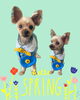 「Dog salon mofu mofu　余市町」