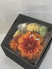 花風水　花凛「花風水」