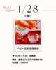 「【色彩×知育×脳育】色彩知育教室体験レッスン開催のお知らせ【ColoRTerrace色彩知育小岩教室　野口絵理】」