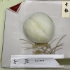 外郎製青梅