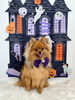 ナギちゃん「Happy Halloween 2026🎃」