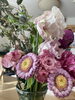 しなしなになったお花も「ミネラルたりてますか？」