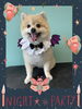 「Dog salon mofu mofu　余市町」