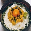 いかうに丼