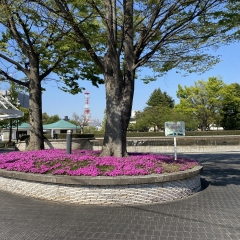 新浜公園（福島市新浜町）