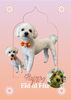 「Dog salon mofu mofu　余市町」