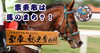 ②◆　競馬　JRA　◆　カネヒキリ　◆　ストラップ　２種類セット　◆　武豊　◆ 栗東市は馬のまち？！駅ナカで楽しむご当地グッズ | 草津市・栗東市