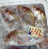 「魚魚市場鮮魚コーナーおすすめは「ビンチョウマグロ・地タコ」です♪」