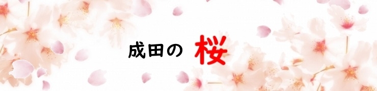 成田市の桜の名所 お花見スポット情報 成田の四季特集 まいぷれ 成田 印西 白井