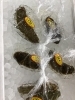 「魚魚市場鮮魚コーナーおすすめは「ヒラメ」です♪」