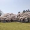 【盛岡】青山児童公園