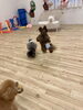 あ、フリスビー落ちた💦　耳まで驚いてる　笑「ましゅまろ幼稚園🐾」