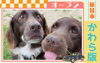 2026年7月オープン〉草間里山ふれあい公園DogRun | 新見市かわら版