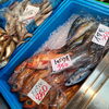 「今日のオススメはアジとマグロ🐟️🐟️」
