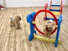 楽しく跳ぶ　はぴちゃん＆見守る　まるくん🤣「ましゅまろ幼稚園🐾」