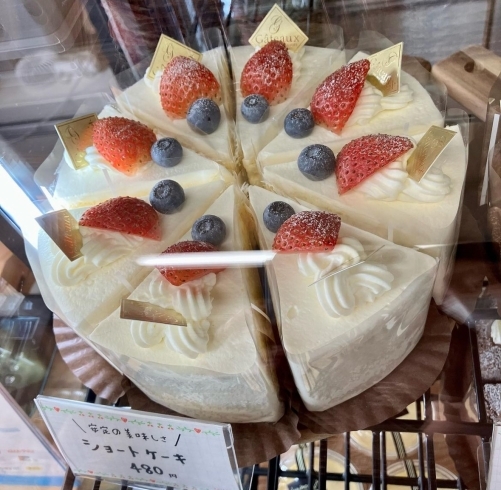 ケーキ「洋菓子店　甲賀市」