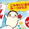 【新店特集】広島市でニューオープンしたお店