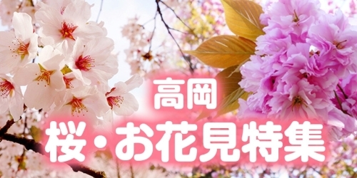 二上山公園 城山園地 高岡 桜 お花見特集 高岡 桜 お花見特集 まいぷれ 高岡市 二上山公園 城山園地 高岡 桜 お花見特集 高岡 桜 お花見特集 まいぷれ 高岡市