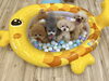 くまくん♡りりーちゃん♡ハッピーちゃん♡はぴちゃん「ましゅまろ幼稚園🐾」