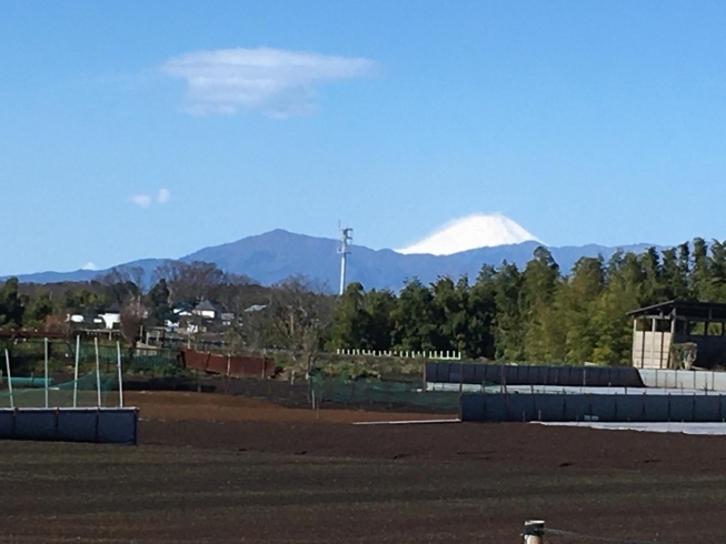 3/14朝、仲町台の南、折本農専地区越しに見た富士「春の嵐のあとの虹、そして富士山」