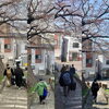 いってらっしゃい「Good morning Otaru! ◎ 小樽の古民家ゲストハウスより」